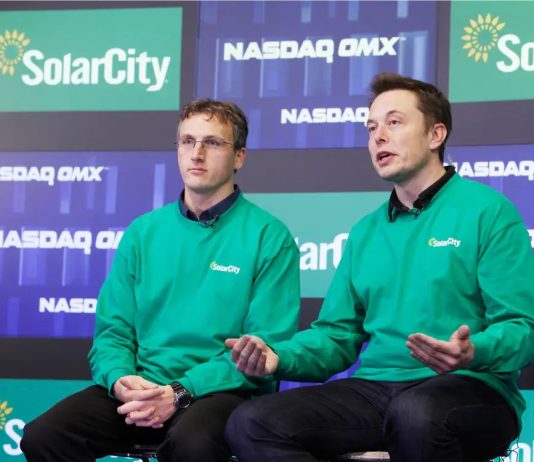 Elon Musk’s Cousin Amongst First Buyers In Solana: Skilled Reveals