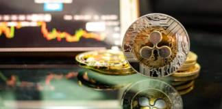XRP Hits Crucial Value Juncture As Whales Scoop Up 1.26 Billion Cash