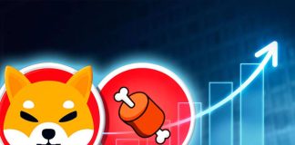 Shiba Inu-Primarily based BONE Eyes $1 As This On-Chain Metric Explodes