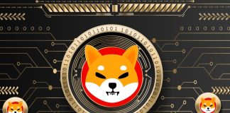 Shiba Inu Sees Surge In Whale Exercise, Will This Have an effect on SHIB?