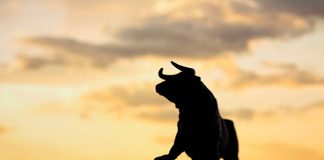 Solana (SOL) Continues To Register Notable Good points Every day, Is $50 the Goal?