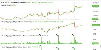 Why Did Bitcoin Worth Soar To $36,800? Why Did Bitcoin Worth Soar To $36,800?