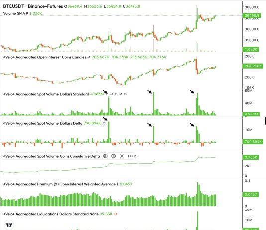 Why Did Bitcoin Worth Soar To $36,800?