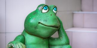 PEPE’s Worth Propels To three-Month Highs, Right here’s Why