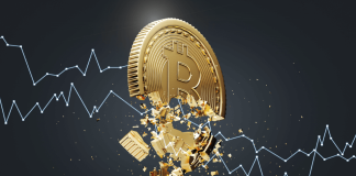 Analyst Predicts Bitcoin And Crypto Market Crash Of Epic Proportions, Right here’s When