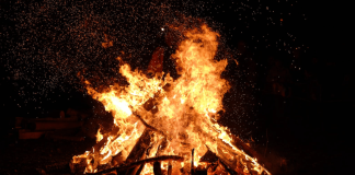 Shiba Inu Burn Fee Soars Over 3,000% – What’s The Affect On Worth? Shiba Inu Burn Fee Soars Over 3,000% – What’s The Affect On Worth?