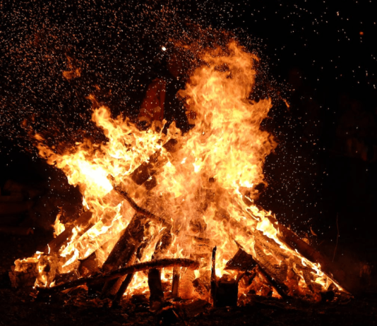 Shiba Inu Burn Fee Soars Over 3,000% – What’s The Affect On Worth?