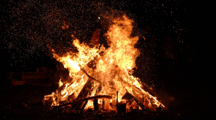 Shiba Inu Burn Fee Soars Over 3,000% – What’s The Affect On Worth?