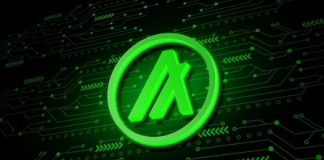 Algorand (ALGO) NFT Rewards Skyrocket: Transactions Surge 320% In Q3