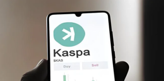 Kaspa Guidelines The Weekend Prime 100 Coin Roster With 63% Rally – Particulars