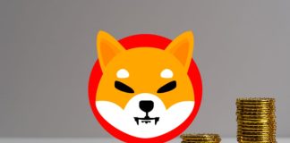 Shiba Inu Value Prediction: Machine Studying Algorithm Reveals December Goal