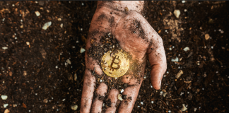 The Large Query: Will Bitcoin Hit $100,000 By 2024? Highlight On Potential Drivers
