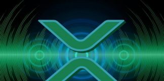 XRP Will Diverge Away From Worth Hypothesis: Crypto Pundit