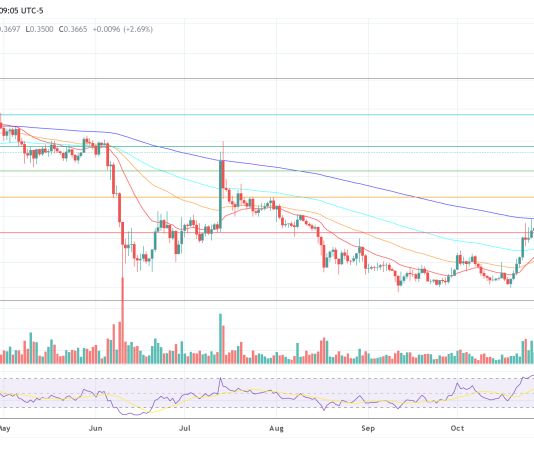 Cardano: Midnight Devnet Goes Stay – Set off For New ADA Rally?
