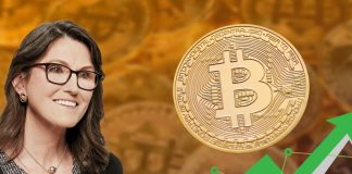 Crypto Market Cap To $25 Trillion: Cathie Wooden Reveals The two Cash To Purchase
