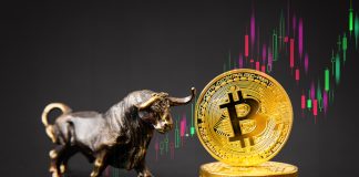 Bitcoin Bulls Are Again! Newest Sign Confirms Bullish Development is Brewing