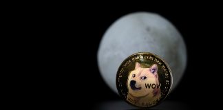 Howling At The Moon: 23,000% Dogecoin Sign Reawakens