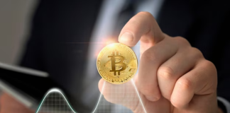Choices Frenzy: Bitcoin Rally To $37,000 Sparks Explosive Open Curiosity Surge