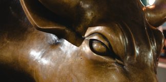 Is $40,000 Subsequent? Unpacking four Causes Behind Bitcoin’s Rising Rally