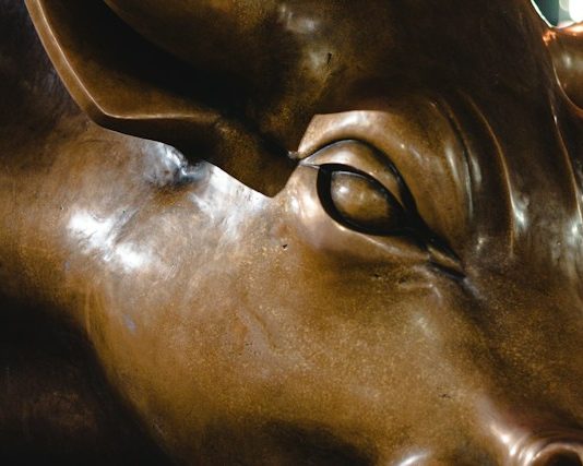 Is $40,000 Subsequent? Unpacking four Causes Behind Bitcoin’s Rising Rally