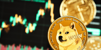 Dogecoin Metrics Sign Impending Breakout, How Excessive Can The Value Go?