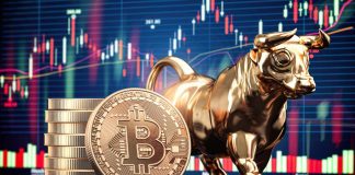 Crypto Market Knowledgeable Identifies The Set off For 600% Bitcoin Value Surge