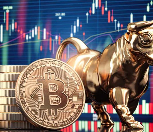 Crypto Market Knowledgeable Identifies The Set off For 600% Bitcoin Value Surge