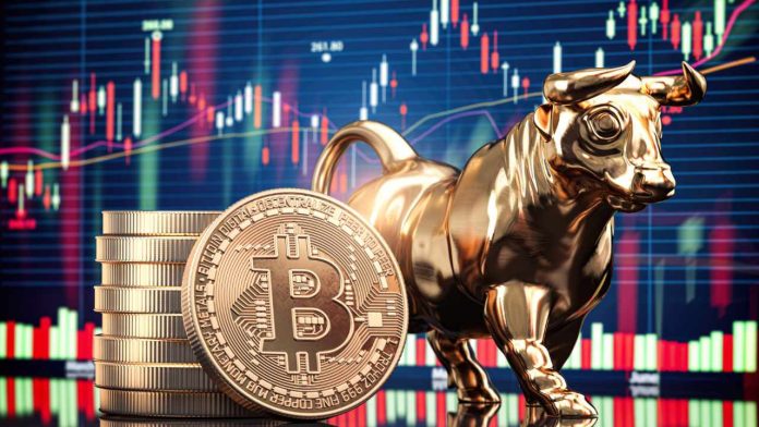 Crypto Market Knowledgeable Identifies The Set off For 600% Bitcoin Value Surge