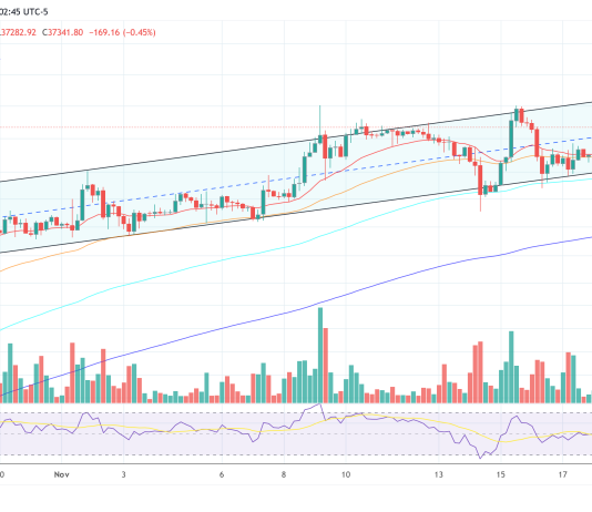 Spot Bitcoin ETF Is ‘A Purchase The Information’ Occasion: Pantera Capital CEO