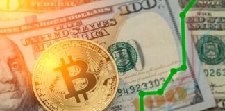 Bitcoin Bulls Buckle Up: Seasonal Developments Level To $50,000 Goal