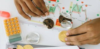 The Shiba Inu Ecosystem: Tokens, NFTs and Past