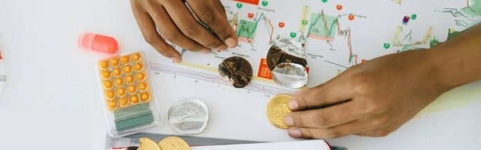 The Shiba Inu Ecosystem: Tokens, NFTs and Past