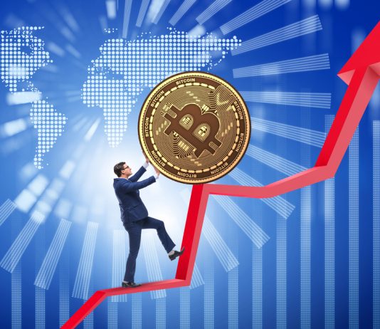 Bitcoin Worth Avoids Collapse However Can Bulls Clear This Main Hurdle?