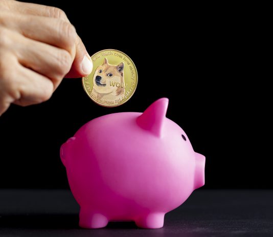 300 Million Dogecoin (DOGE) Moved To Robinhood As Worth Swells