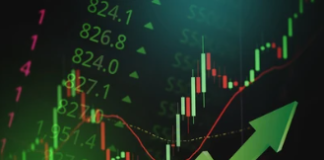 Dogecoin Worth Rallies To 4-Month Highs – Can Bulls Take It Above $0.3?