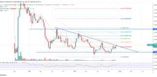 Shiba Inu Value Enters Most Essential Week In 1.5 Years, Right here’s Why