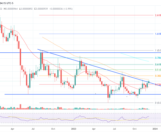 Shiba Inu Value Enters Most Essential Week In 1.5 Years, Right here’s Why
