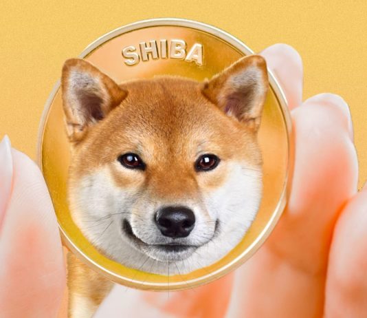 Shiba Inu Open Curiosity Falls Behind Basic Crypto Market, What This Means For Worth