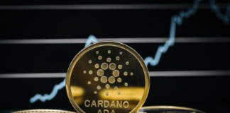 Cardano Profitability On The Rise: 1.7 Million Addresses Hit 2-Yr Excessive