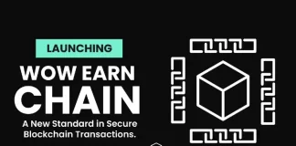 WOW EARN Unveils Layer 1 Blockchain, Redefining Effectivity and International Accessibility