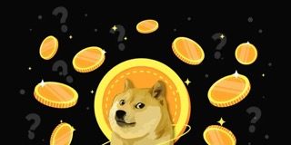Crypto Analyst Predicts Dogecoin Value Pump Of Epic Proportions To $0.7, Right here’s When