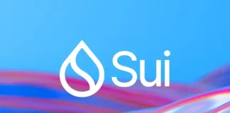 Sui Joins DeFi Leaders, Topping $100M in Bridged USDC
