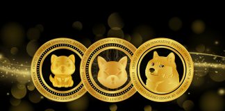 Solana-Based mostly Meme Coin Outperforms Dogecoin, Shiba Inu To Develop into Third-Largest