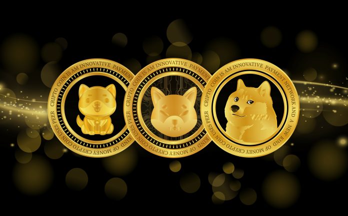 Solana-Based mostly Meme Coin Outperforms Dogecoin, Shiba Inu To Develop into Third-Largest