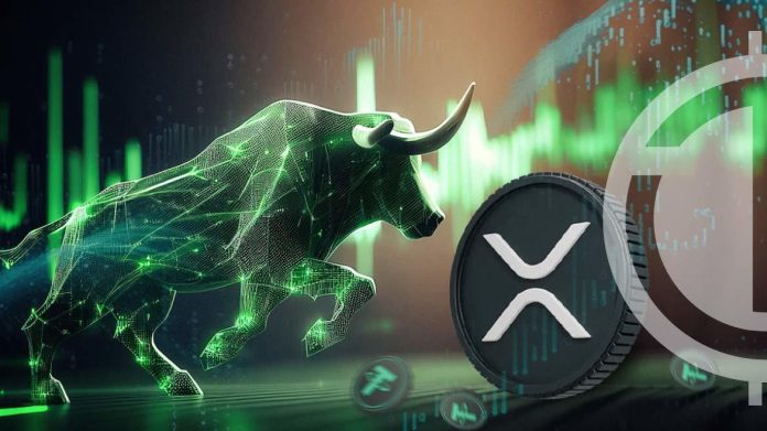 Analyst Locations XRP As The High Coin For The 2024-2025 Bull Run