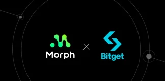 Bitget’s Multimillion-Greenback Funding in Layer 2 Client Blockchain Morph
