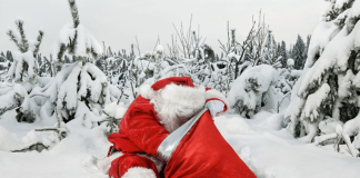 Cardano (ADA) 50% Rally Units Stage For A Merry Christmas – Particulars