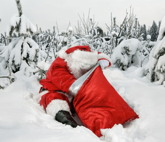 Cardano (ADA) 50% Rally Units Stage For A Merry Christmas – Particulars