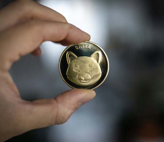 Shiba Inu Information: Shibarium Hits One other Main Milestone