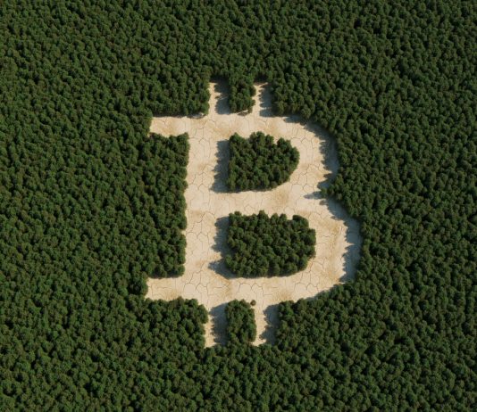 Bitcoin Spot ETF Candidates To Combine Necessary Money Redemption Mannequin